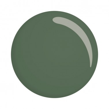 Semipermanente Verde Moss 14 ml Semipermanente 14ml